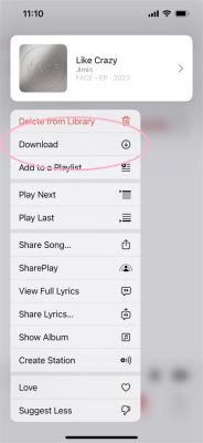 can you use apple music offline